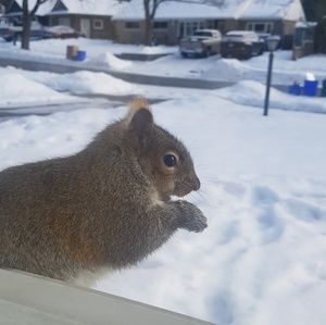 Meet your Posher, Victoria